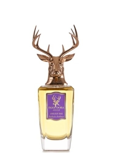Pana Dora Velvet Iris Woda perfumowana 100 ml