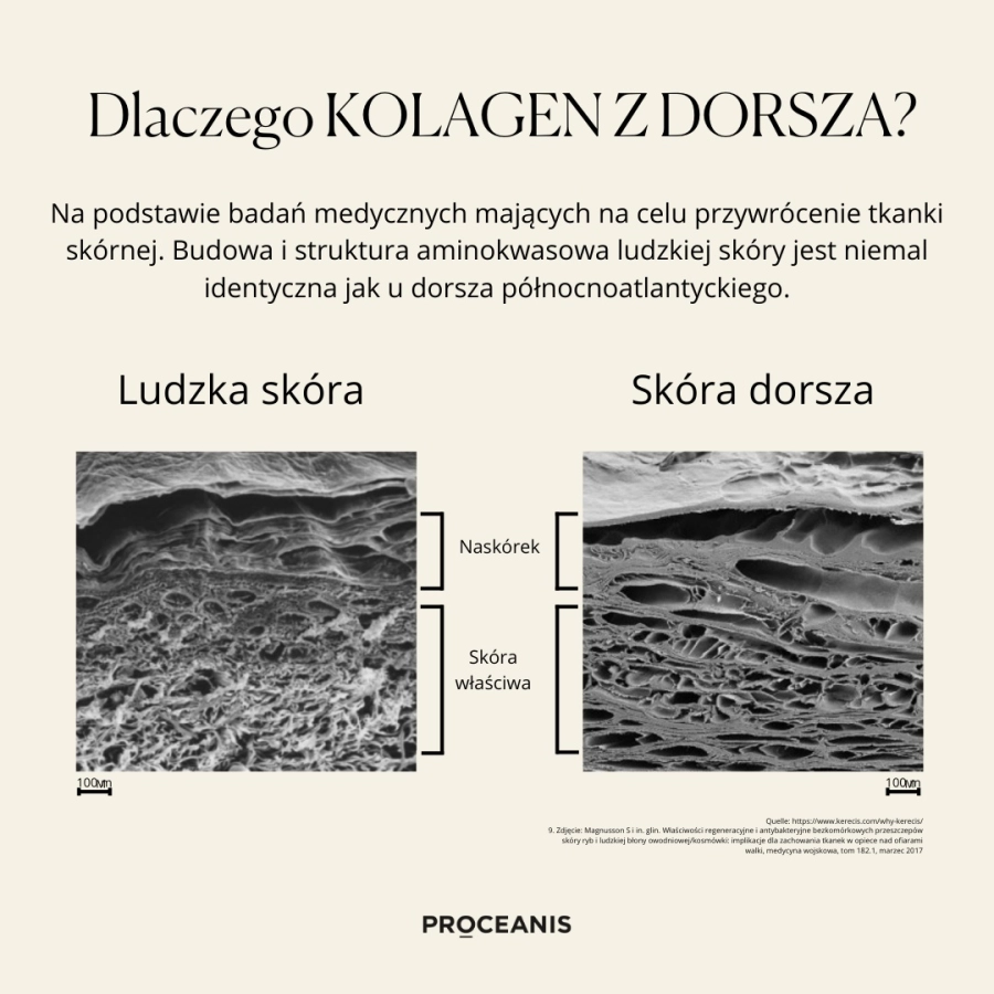 Proceanis Collagen Drink 500 ml - Synergetic Marine Skin Booster