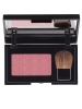 RVB LAB THE MAKE UP Powder Blush 111 Róż w kompakcie 111 5 g