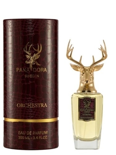 Pana Dora Orchestra Woda perfumowana 100 ml
