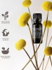 Aromatherapy Associates Calm Confidence Pure Essential Oil Blend Olejek do dyfuzora i inhalacji 10 ml