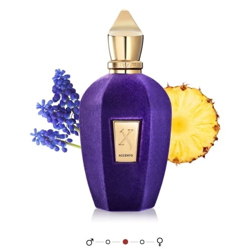 XERJOFF V Accento Woda perfumowana 100 ml