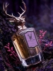 Pana Dora Daydream Woda perfumowana 100 ml